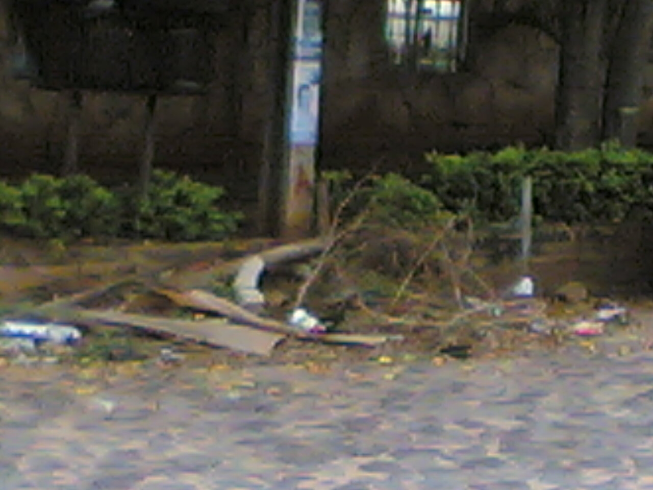 Basuras amontonadas en las calles con latas, botellas, etc. que sirven de criadero del mosquito.